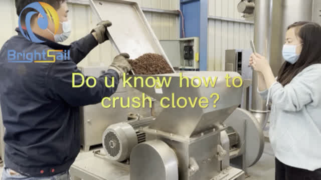 Do u know how to crush clove into granules?#crusher #CloveGrinder