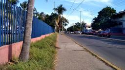 Avenida de los Deportes | Mazatlán | 6 de Diciembre del 2021