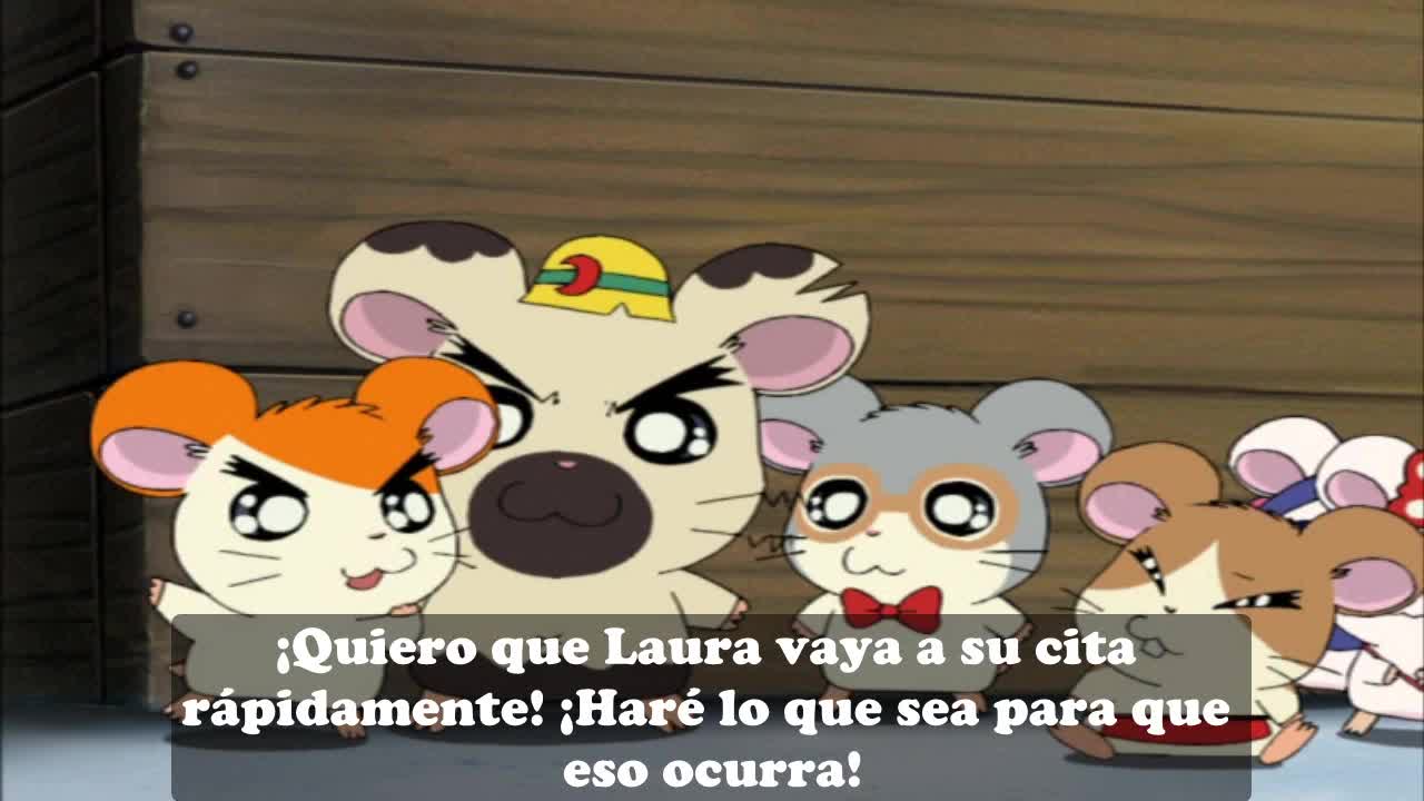 Hep246