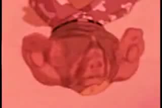 VGZTV - A Public Service Announcement from Major Guile (YTP MIRROR)