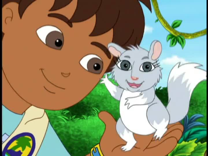 Go diego Go Baby Chinchilla