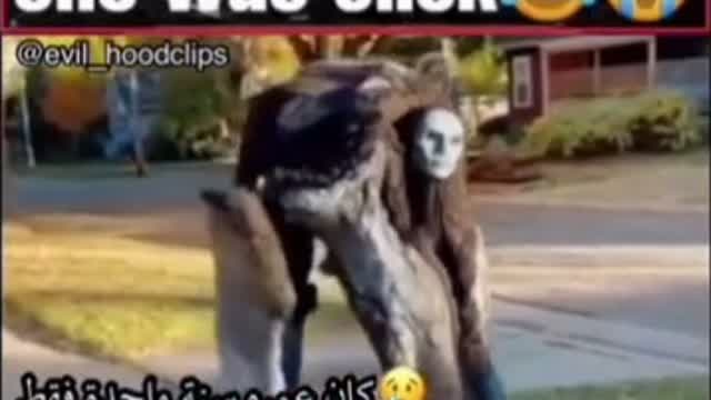 vid16