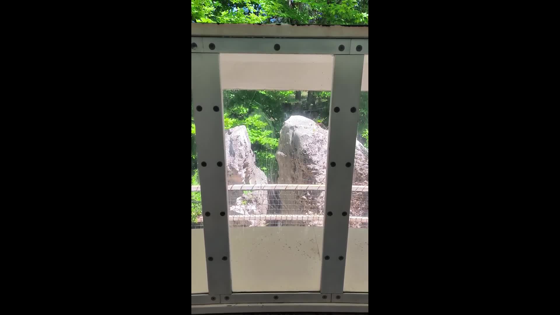 Italian Footage.mp4