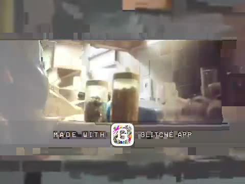 turn down for huh fuxking dies