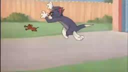 Tom & Jerry: The Flying Cat