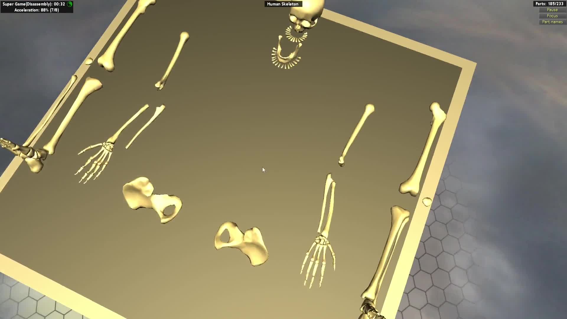 World of Guns: Human Skeleton
