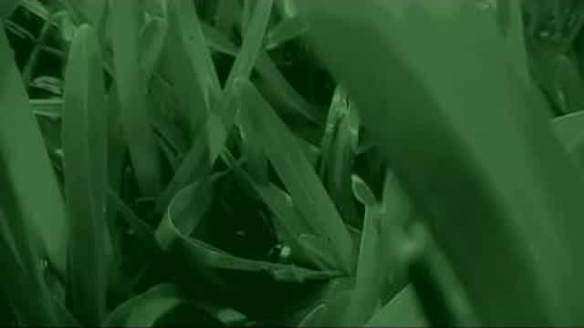 Night Test [HD]