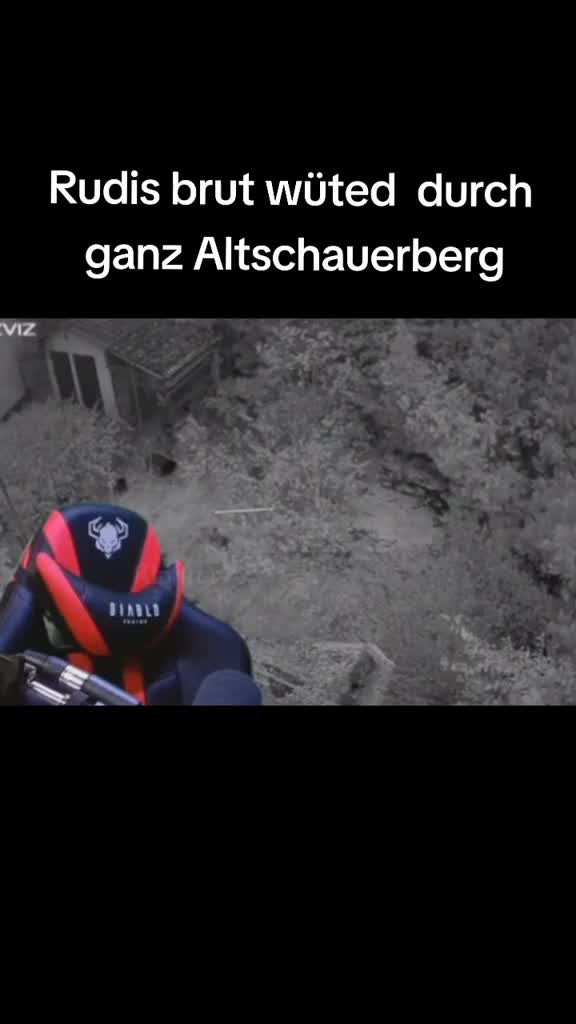 Drachenlord Altschauersberg Rage (E for Everyone Edition)