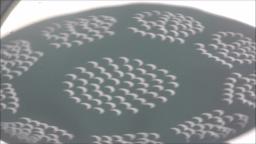 VIEWING A SOLAR ECLIPSE FROM A PINHOLE METHOD VIEWING A SOLAR ECLIPSE FROM A PINHOLE METHOD