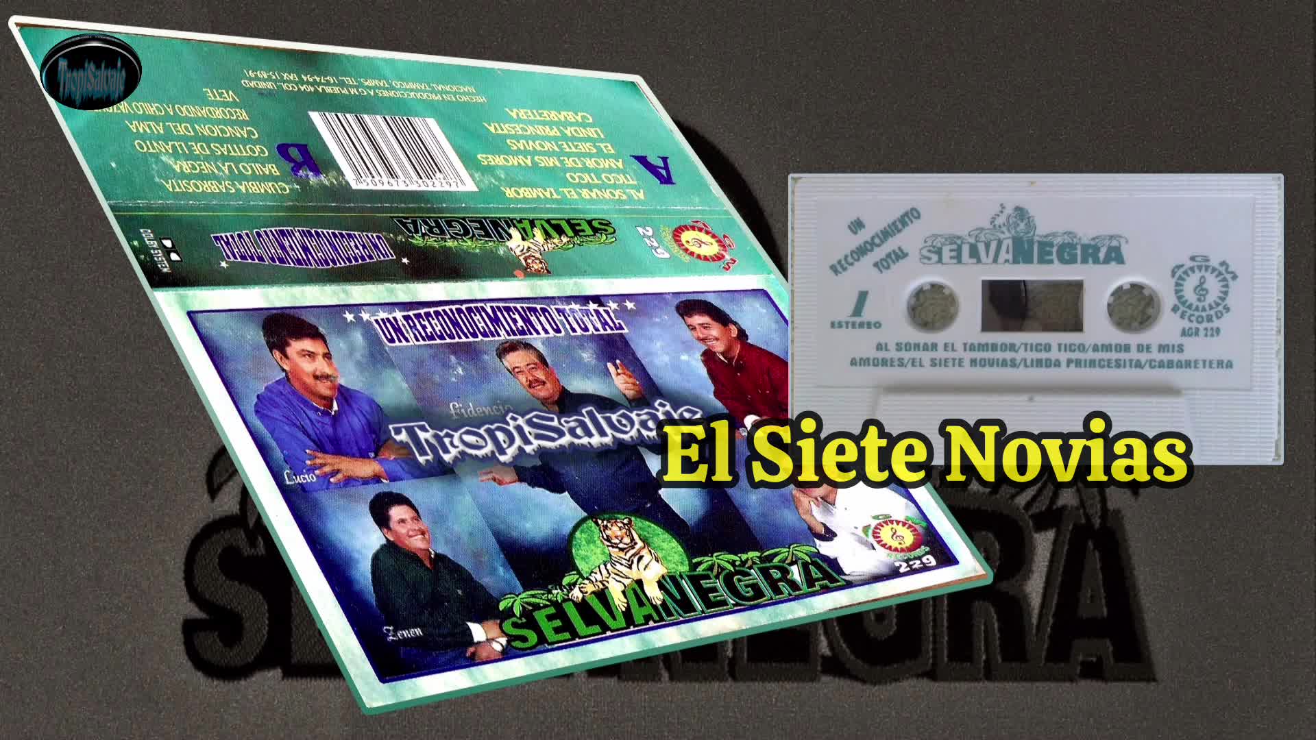 Siete novias Selva negra vol 17