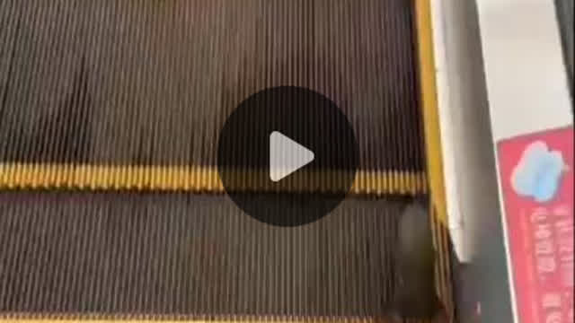 Frog on the escalator Sisyphus meme
