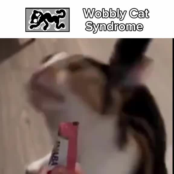 Different types of cat variations (Medical)