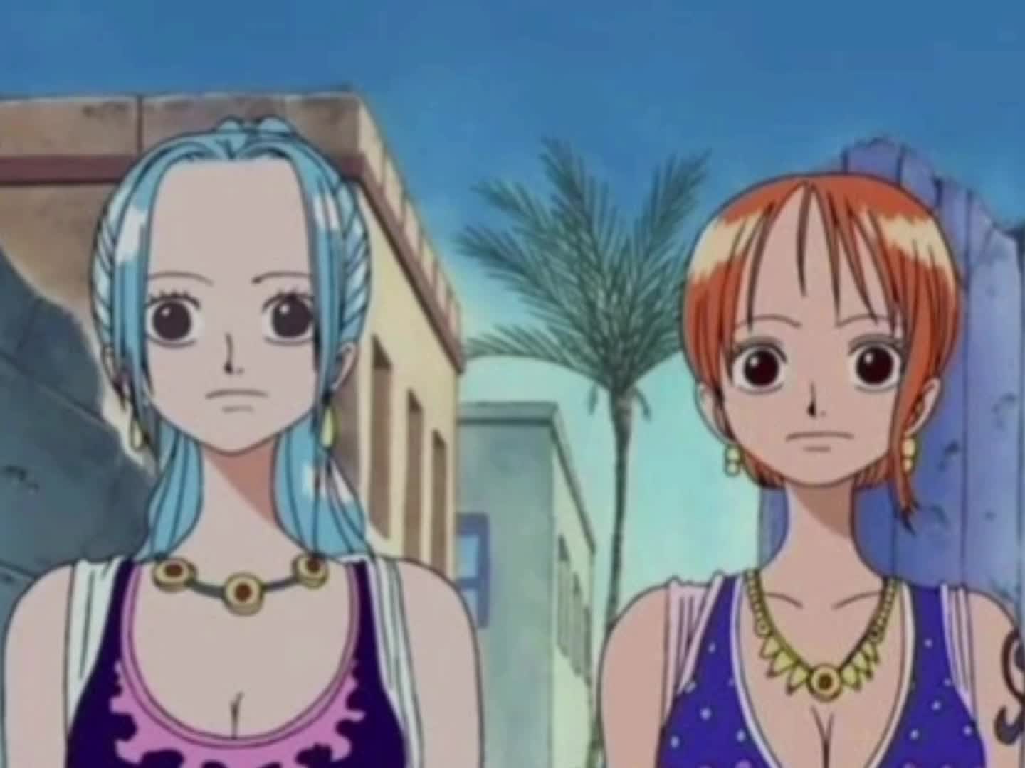 one piece nami x vivi one piece nami x vivi
