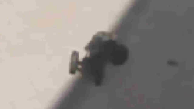 RC CARZ RC CARZ