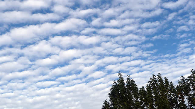 En tu rostro Borrego P.10 - HAARP