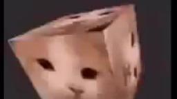 cat_cube.wmv