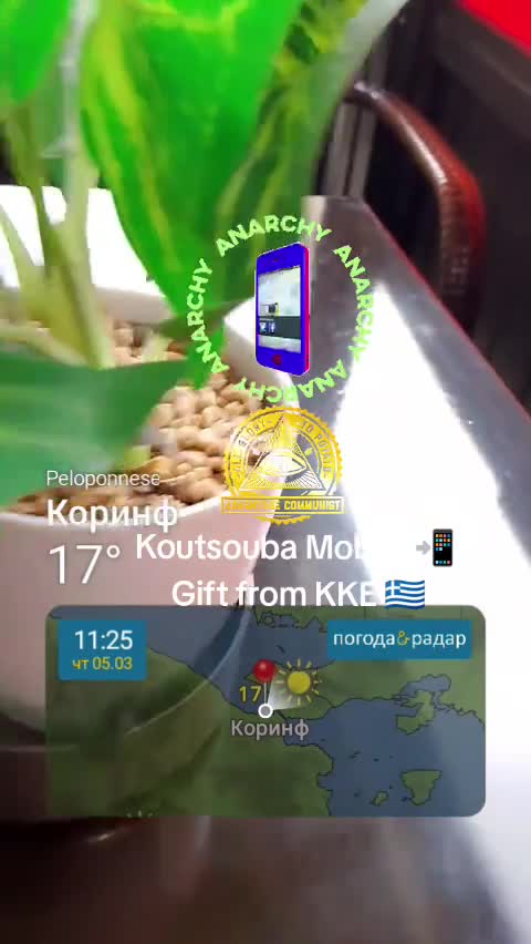 Быстрая коммунистическая Френокапучинара в Гоцисе 😍🇷🇺💙