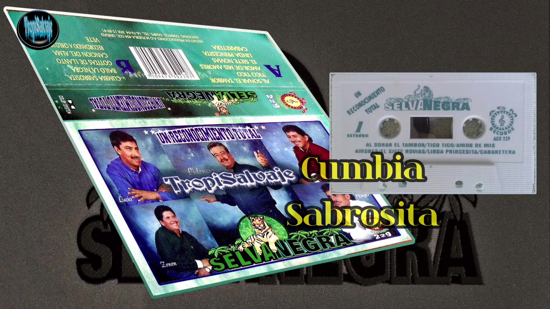 Cumbia Sabrosita Selva Negra vol 17 Cumbia Sabrosita Selva Negra vol 17