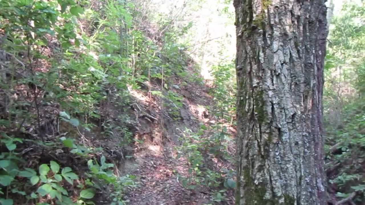 Childhood Videos #8 - playing with my camera Childhood Videos #8 - playing with my camera