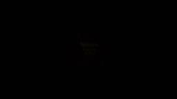 Opening to Shrek Forever After 2010 For Your Consideration DVD