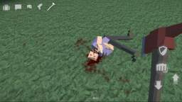 Execution