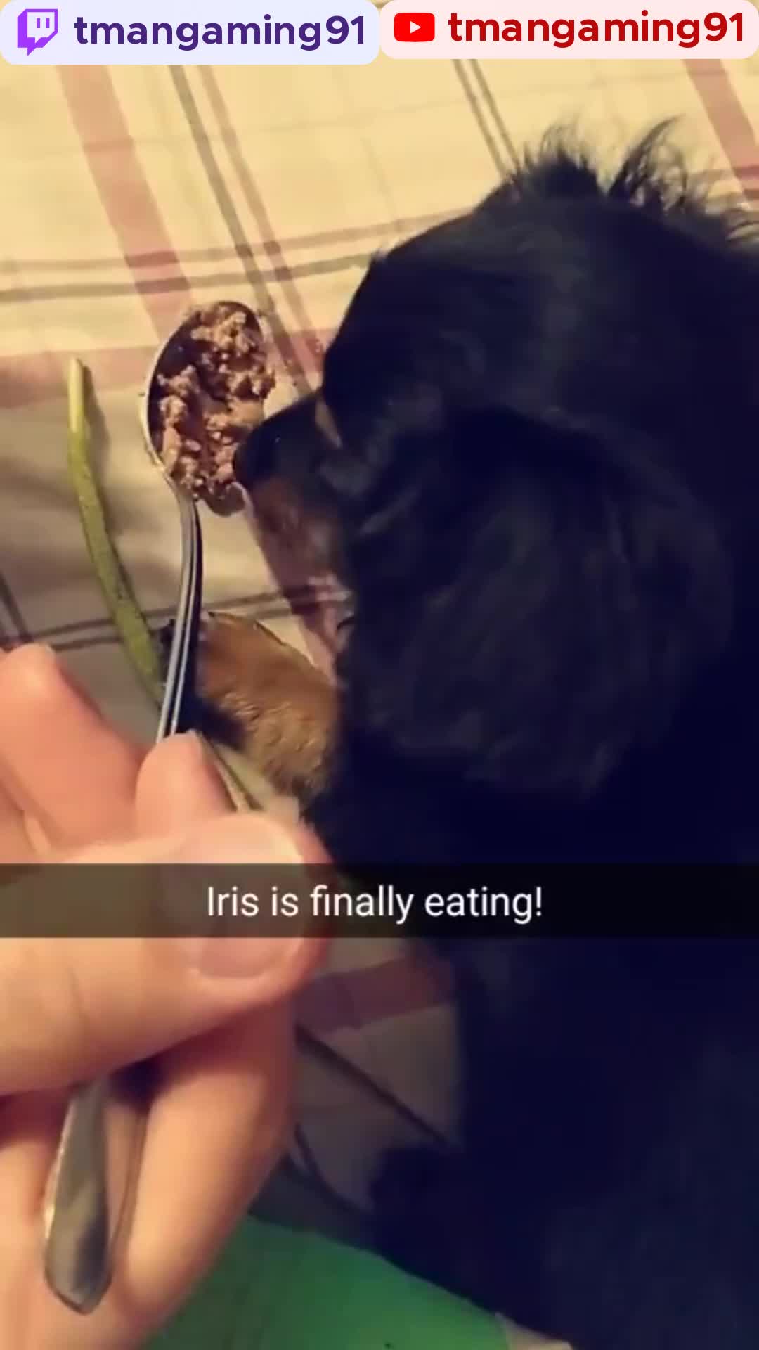 First Time Eating After Breaking Her Leg