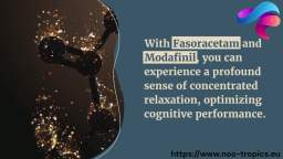 Maximizing Modafinil: Top Nootropics to Supercharge Cognitive Performance