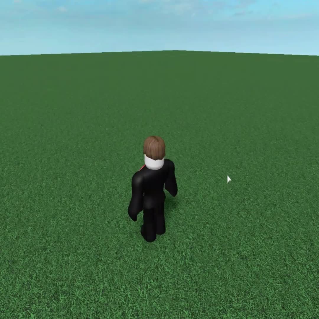 this is my last video on january.wmv