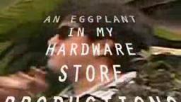 an eggplant in my hardware store productions