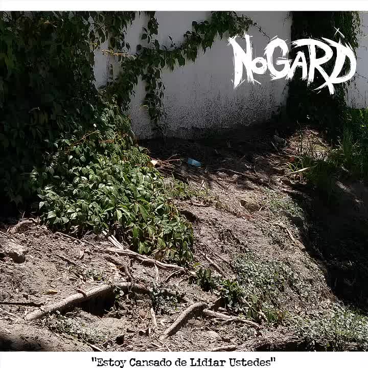 Nogard - Estoy Cansado de Lidiar Con Ustedes