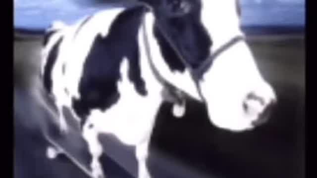 Video sin título (de ElKaguya)
