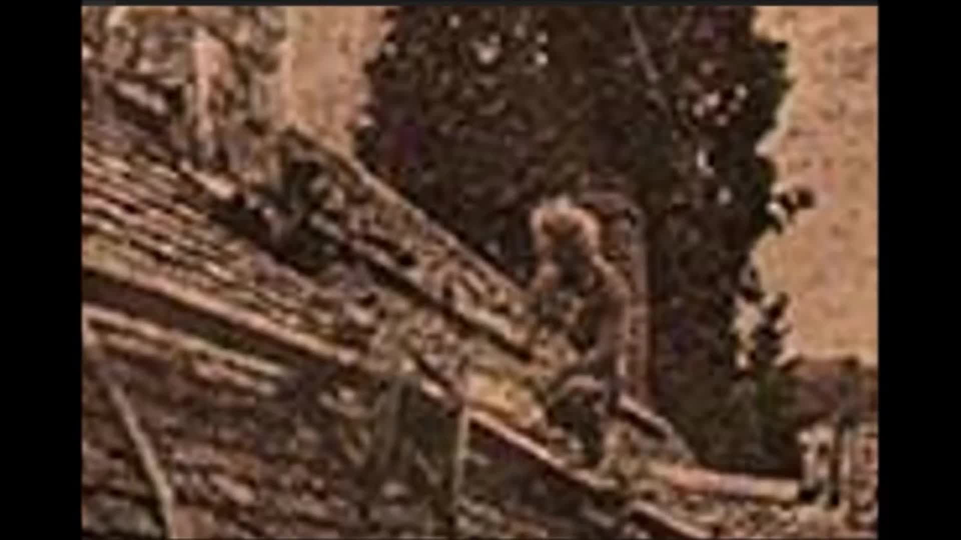 117 La Casa Más Embrujado De Inglaterra Tiene Una Fotografía Dentro Muy Misteriosa 3