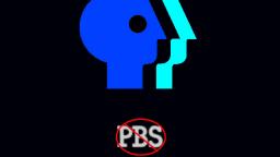 NOT PBS Logo - 1996