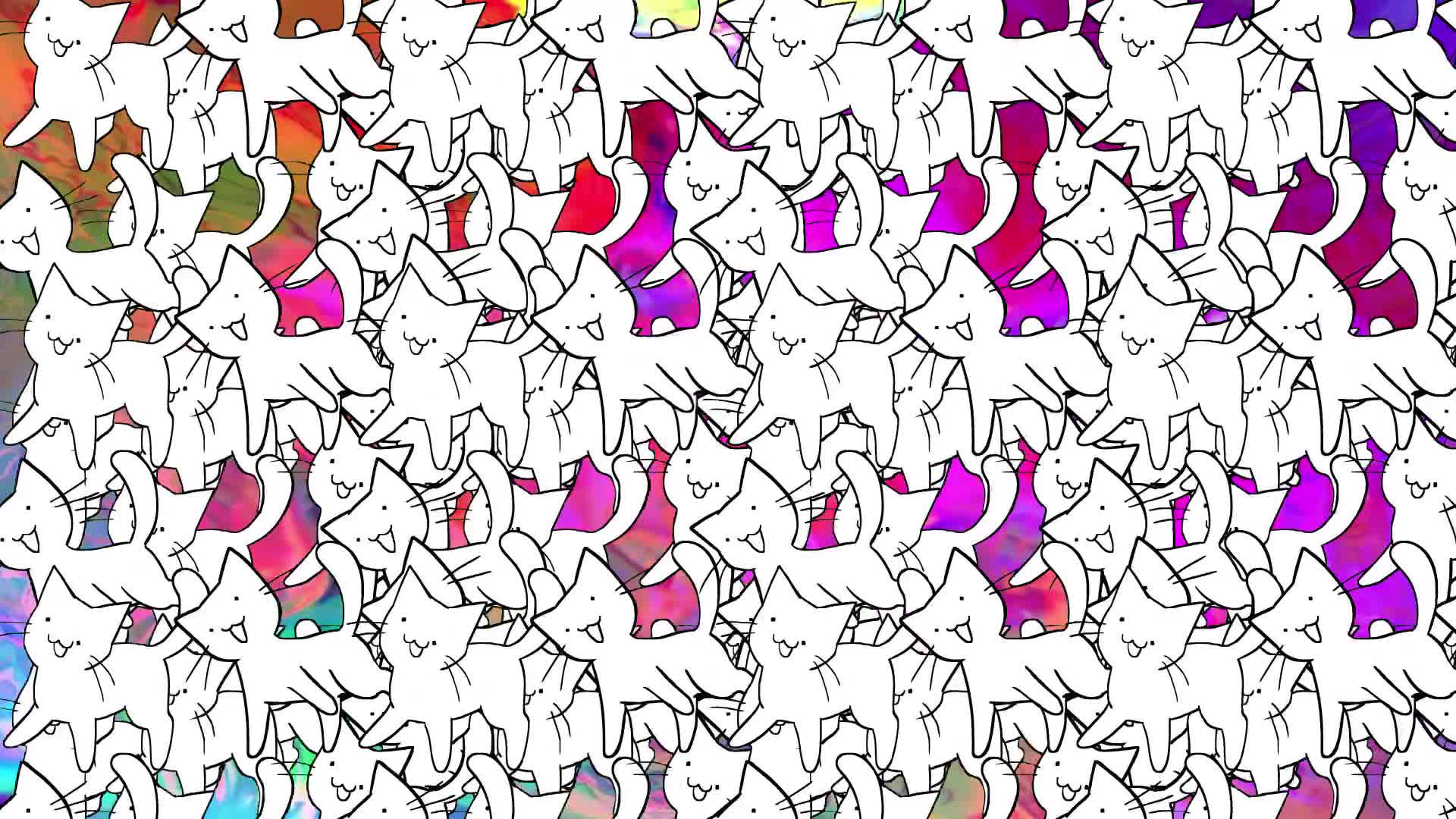 CATS [epilepsy warnign!!1]