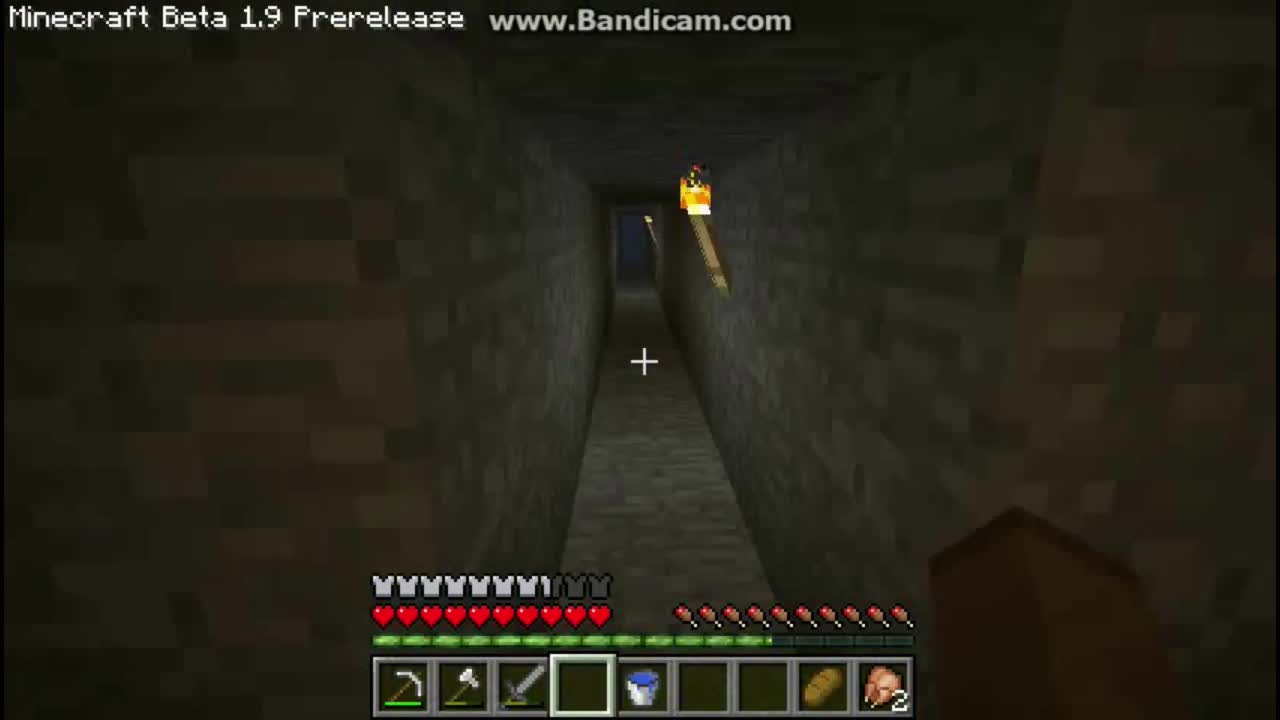 Minecraft Let's Play Episode 5