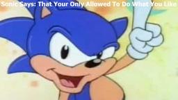 Sonic Says That Your Allowed To Do What You Like