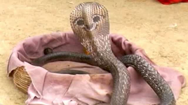 # 1: Niceness ? # 1: Niceness ?