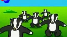 Badger song