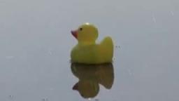 quack funny