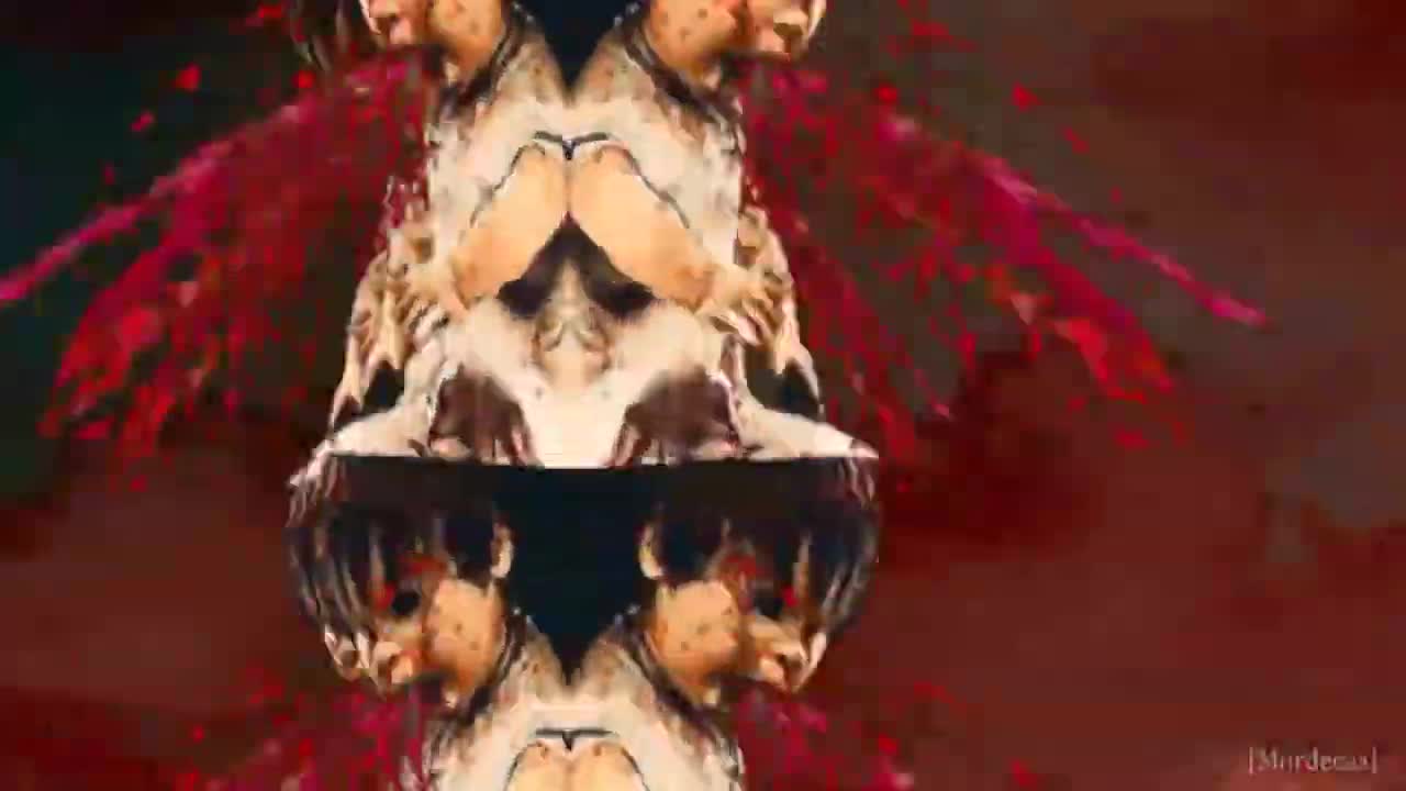 YTP? - Blank [Mordecas]