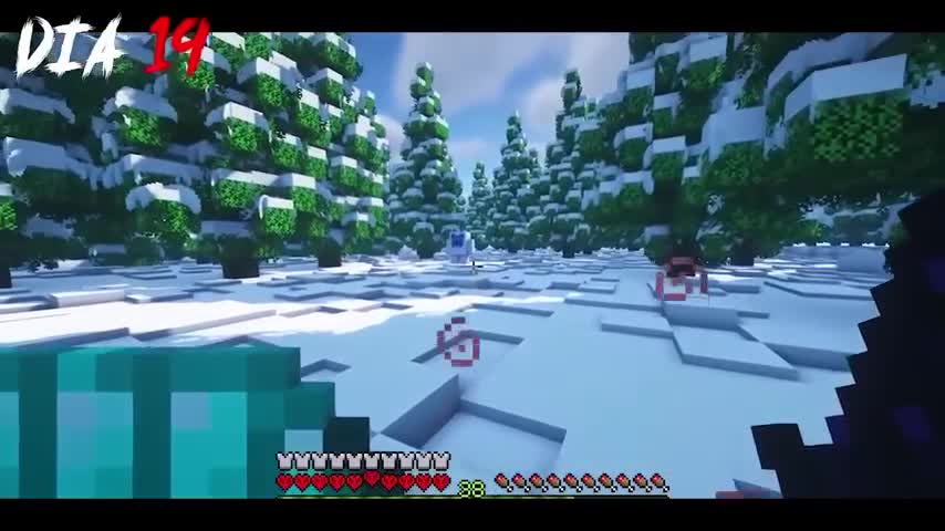 1786985510982.trimmed (1)