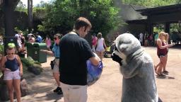 Me meeting Meeko from Pocahontas (May 3, 2018)