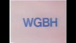 WGBH Boston logo by tavi bonta