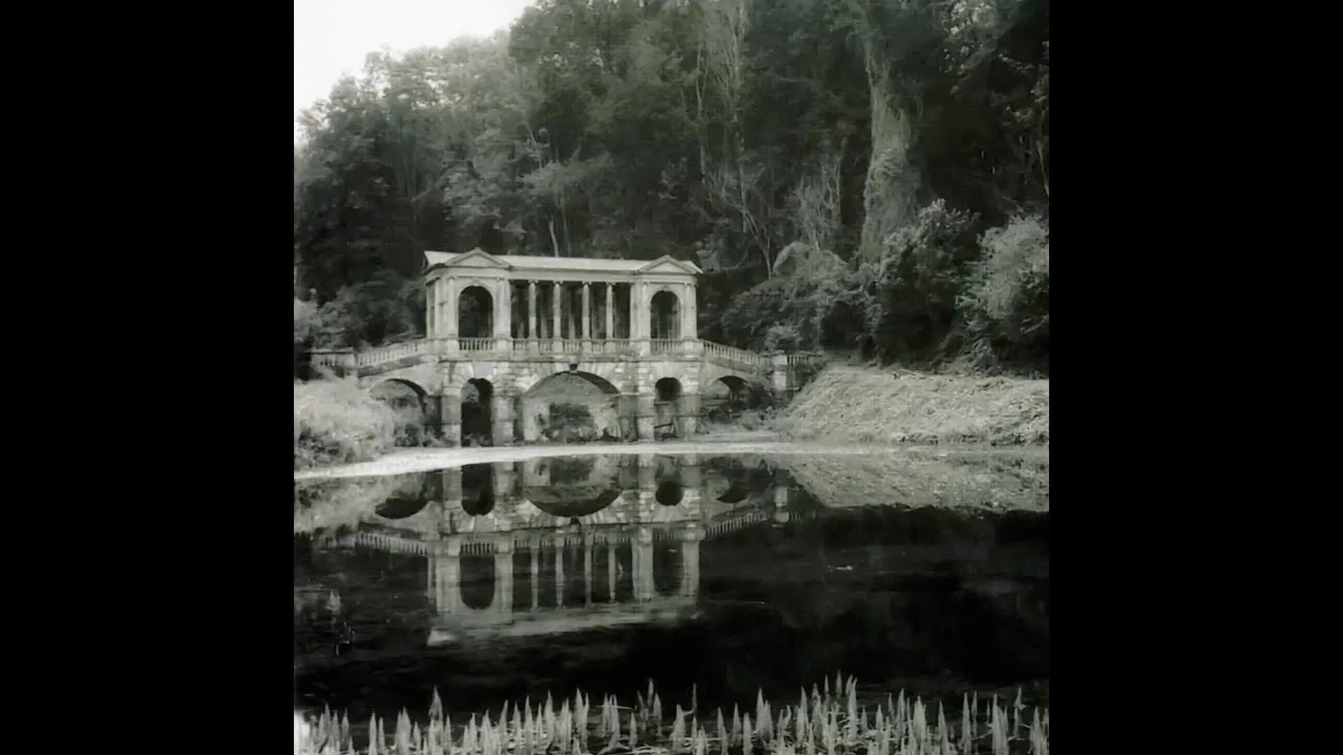 Opeth - Black Rose Immortal