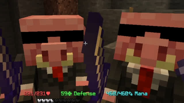 Minecraft Hypixel Skyblock bug report