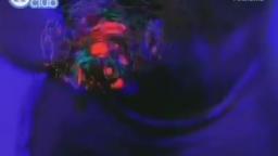 Opus III - It's A Fine Day