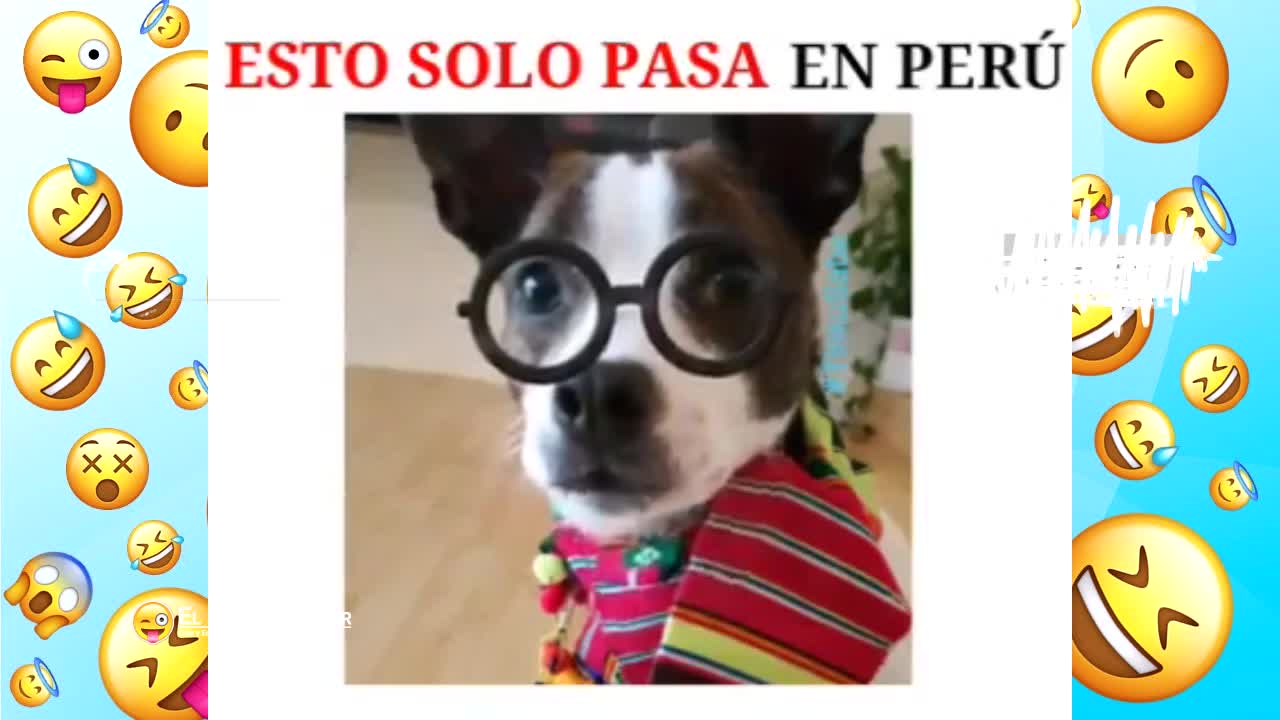 VIDEOS GRACIOSOS - PARTE 38