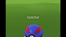 Pokémon GO-Shadow Pinsir