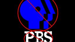 Not PBS Logo - 1984