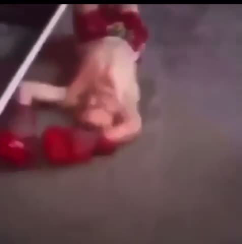midget fight 🔥🔥